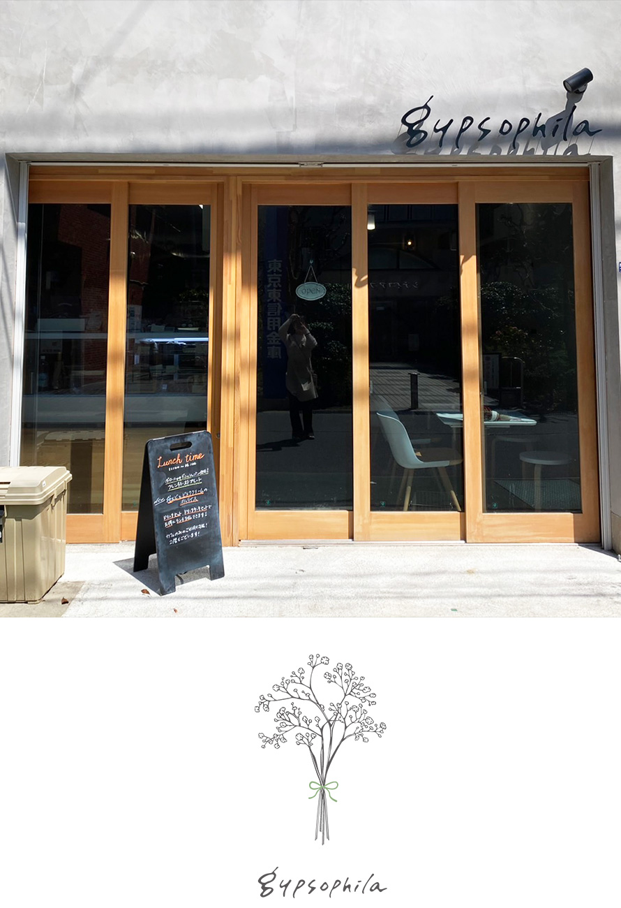 gypsophilaジプソフィラ